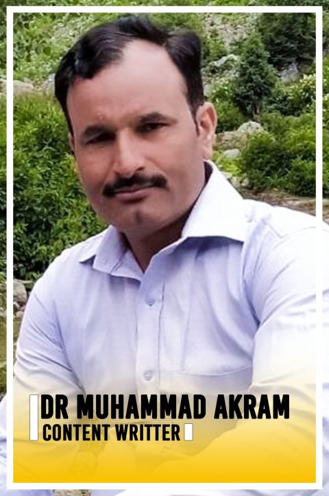 Dr Muhammad Akram, Content Writer at ORM Digital Solutions